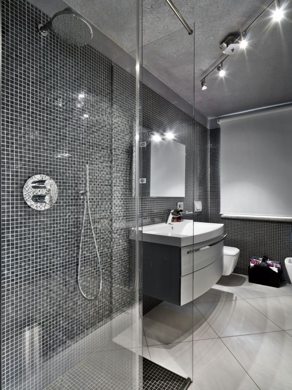 Elegant Shower Installation